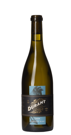 2023 Lark Sauvignon Blanc